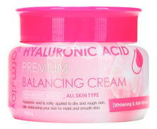 Farm Stay Балансирующий крем для лица с гиалуроновой кислотой Hyaluronic Acid Premium Balancing Cream 100г