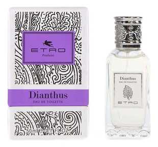 Dianthus