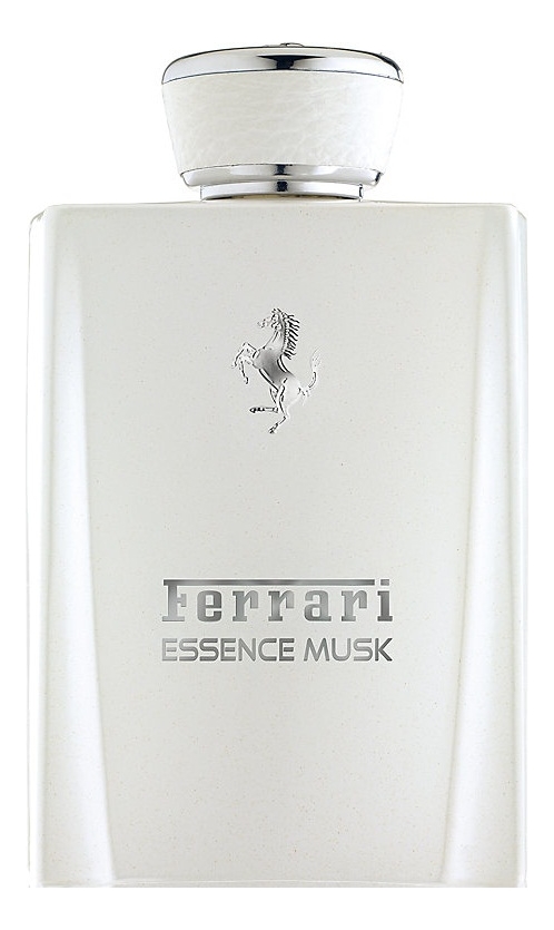 

Essence Musk: парфюмерная вода 100мл тестер, Essence Musk