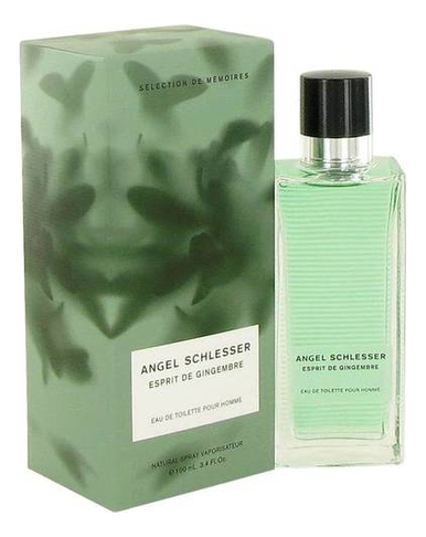 

Angel Schlesser Esprit De Gingembre Men: туалетная вода 100мл, Angel Schlesser Esprit De Gingembre Men