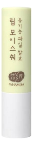 

Бальзам для губ на основе фруктовых ферментов Organic Fruits Lip Moisture 4г