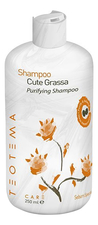Teotema Шампунь против жирности волос Sebum Specific Purifying Shampoo