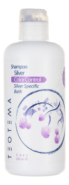 Шампунь для седых и обесцвеченных волос Grey Hair Color Control Silver Shampoo