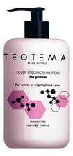 Teotema Тонирующий шампунь для волос Silver Specific Shampoo 1000мл