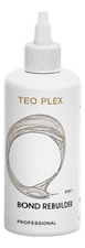 Teotema Восстановитель связующих веществ в стержне волоса Teo Plex Bond Rebuilder 250мл (шаг1)