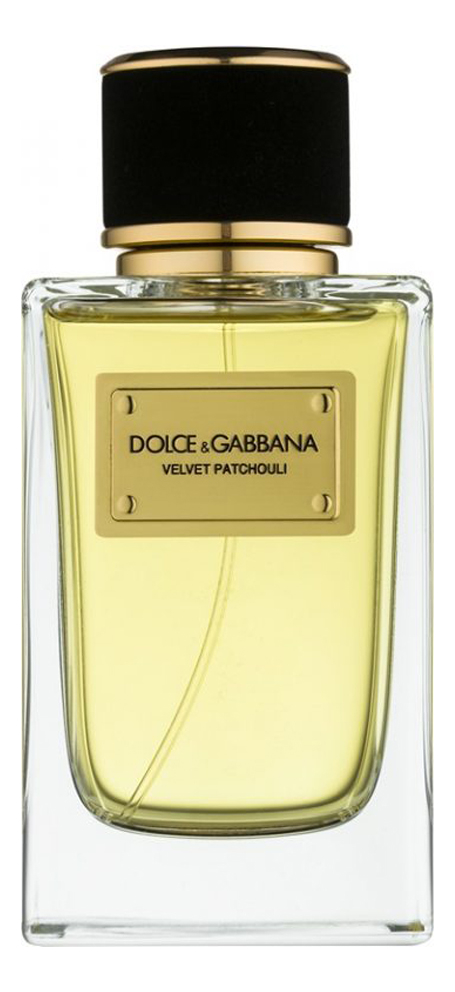 dolce & gabbana velvet patchouli