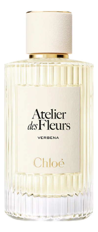 Chloe Atelier Des Fleurs Verbena
