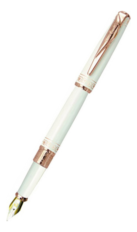 

Перьевая ручка Secret Business PCA1063FP