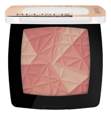 Catrice Cosmetics Румяна для лица Blush Box Glowing + Multicolour 5,5г