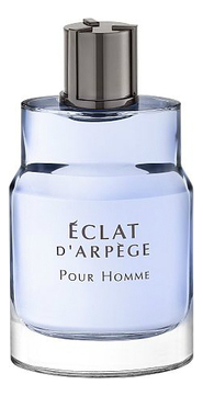 Eclat d'Arpege Pour Homme: туалетная вода 100мл корректирующая база под макияж hd skin equalizer pr022 02 mauve base eclat radiant 30 мл