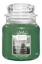 Yankee Candle Ароматическая свеча Evergreen Mist