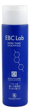 MOMOTANI Шампунь для волос EBC Lab Scalp Clear Shampoo 290мл