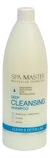 Spa Master Professional Шампунь для волос с ментолом, экстрактом лимона и морских водорослей Clean Deep Cleansing Shampoo 970мл