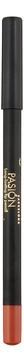 Карандаш для губ устойчивый Pasion Long-Lasting Lip Pencil 1,5г