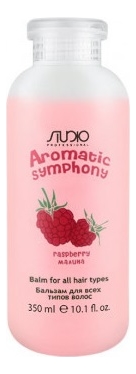 

Бальзам для всех типов волос Малина Studio Aromatic Symphony: Бальзам 350мл, Бальзам для всех типов волос Малина Studio Aromatic Symphony