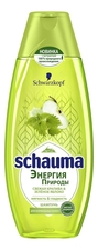 Schauma Шампунь для волос Свежая крапива и зеленое яблоко 400мл