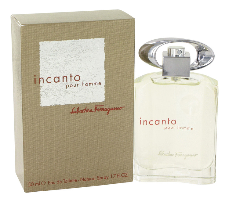 

Incanto pour homme: туалетная вода 50мл, Incanto Pour Homme