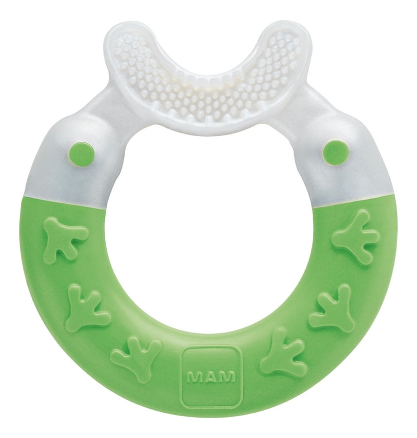 

Прорезыватель для зубов Bite & Brush Teether Cactus Green 3+