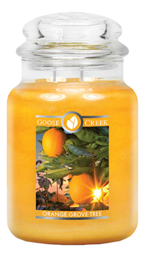 Ароматическая свеча Orange Grove Tree (Апельсиновая роща)