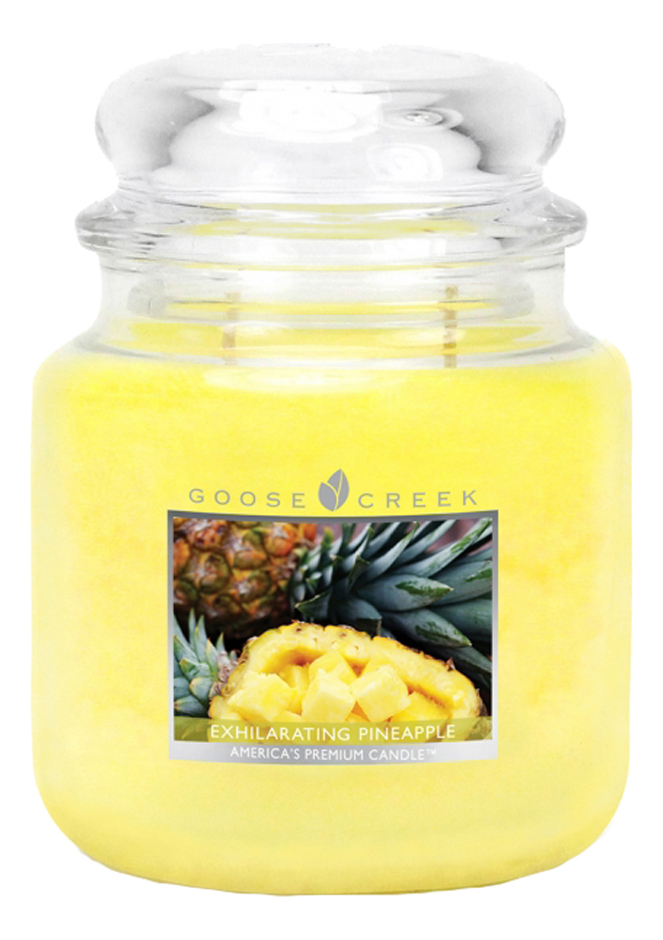 

Ароматическая свеча Exhilarating Pineapple (Бодрящий Ананас): свеча 454г, Ароматическая свеча Exhilarating Pineapple (Бодрящий ананас)