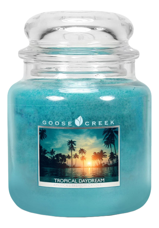 Ароматическая свеча Tropical Daydream (Тропические мечты): свеча 454г ароматическая свеча tropical daydream тропические мечты свеча 454г