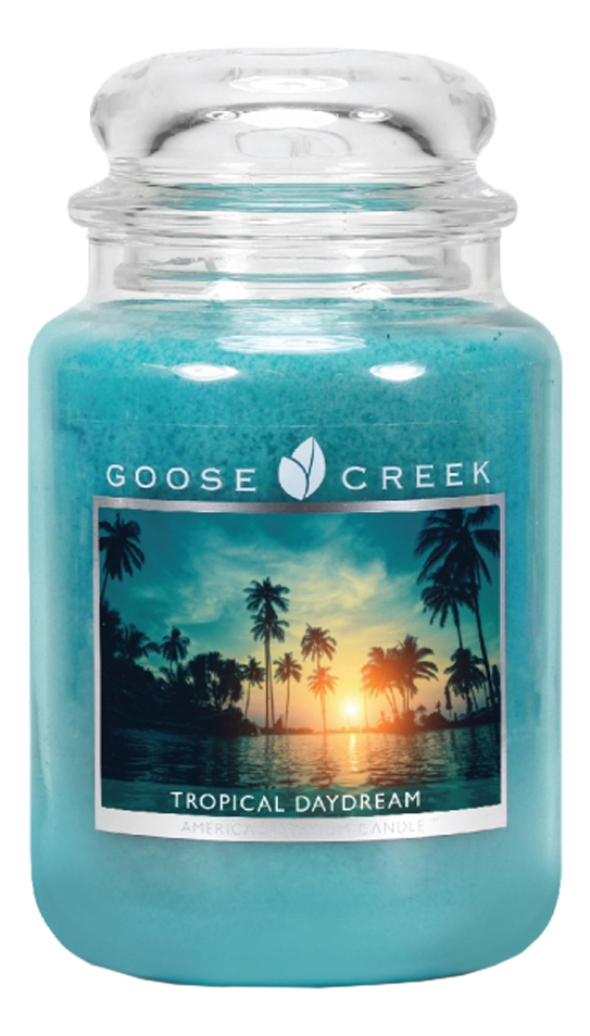 Ароматическая свеча Tropical Daydream (Тропические мечты): свеча 680г ароматическая свеча sunny daydream свеча 104г
