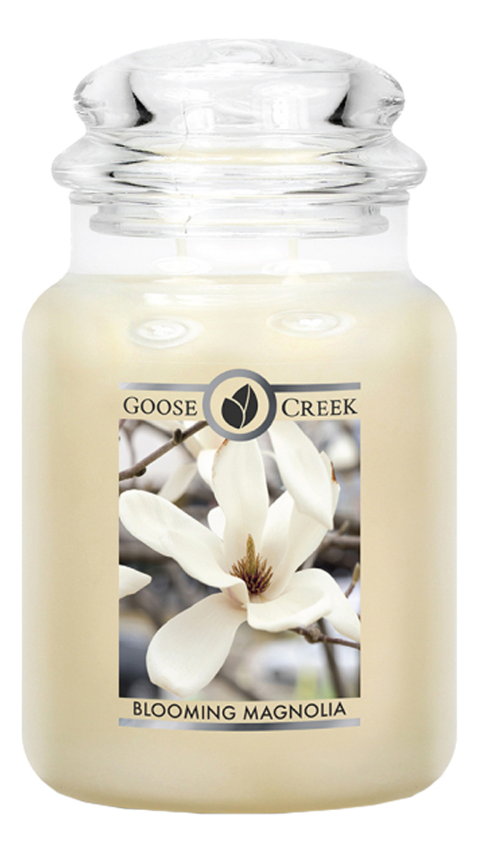 

Ароматическая свеча Blooming Magnolia (Цветы магнолии): свеча 680г, Ароматическая свеча Blooming Magnolia (Цветы магнолии)