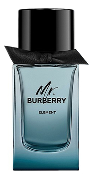 Mr. Burberry Element