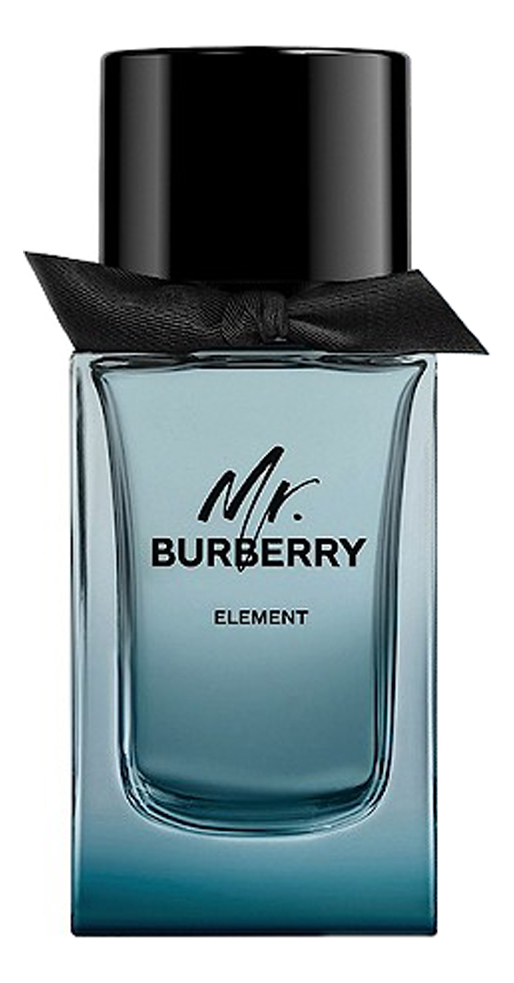 Mr. Burberry Element: туалетная вода 150мл