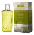 Colonia Veneziana