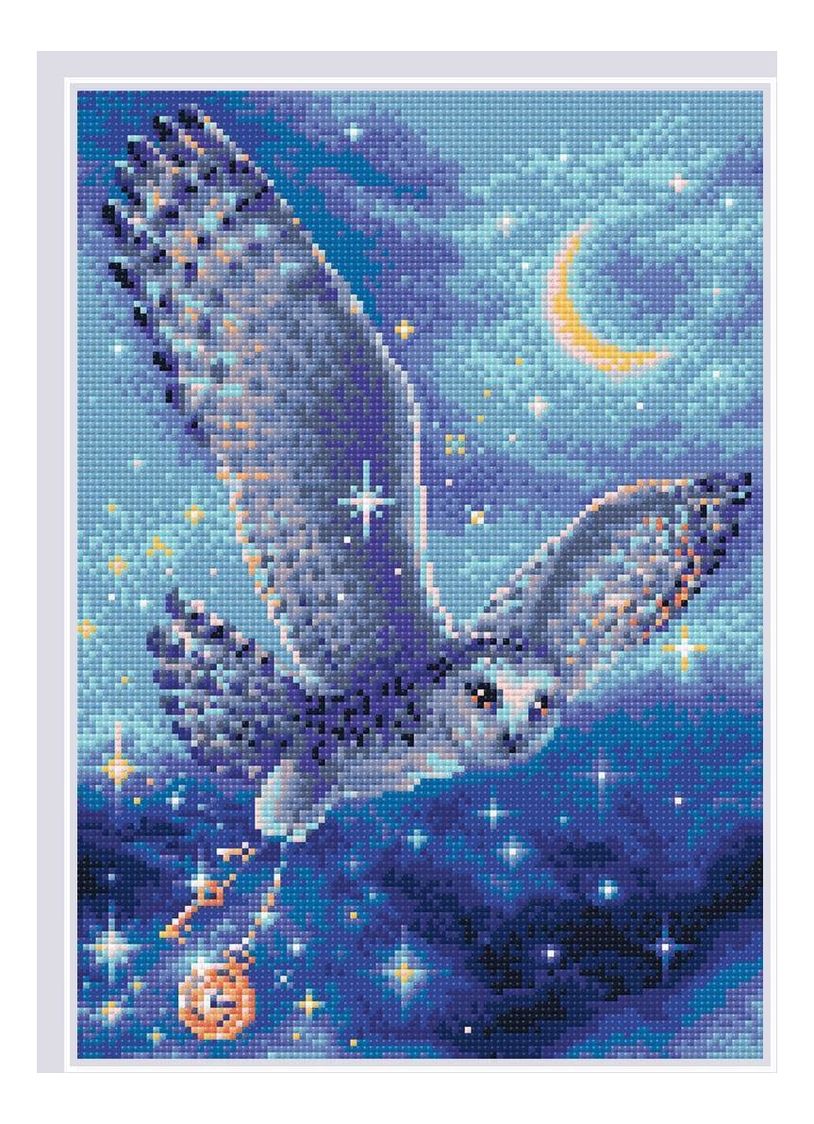 Алмазная мозаика "Волшебная сова" (27х38см) от Randewoo