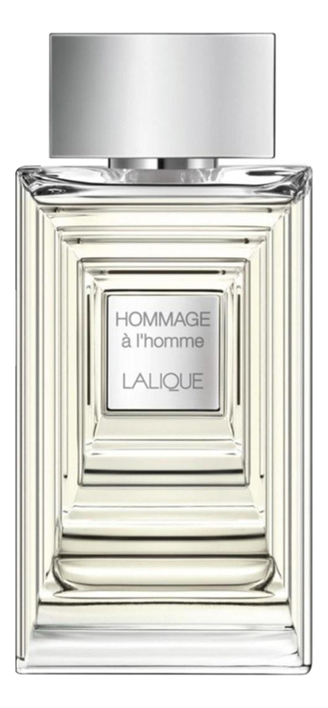 Hommage a L'Homme: туалетная вода 100мл уценка