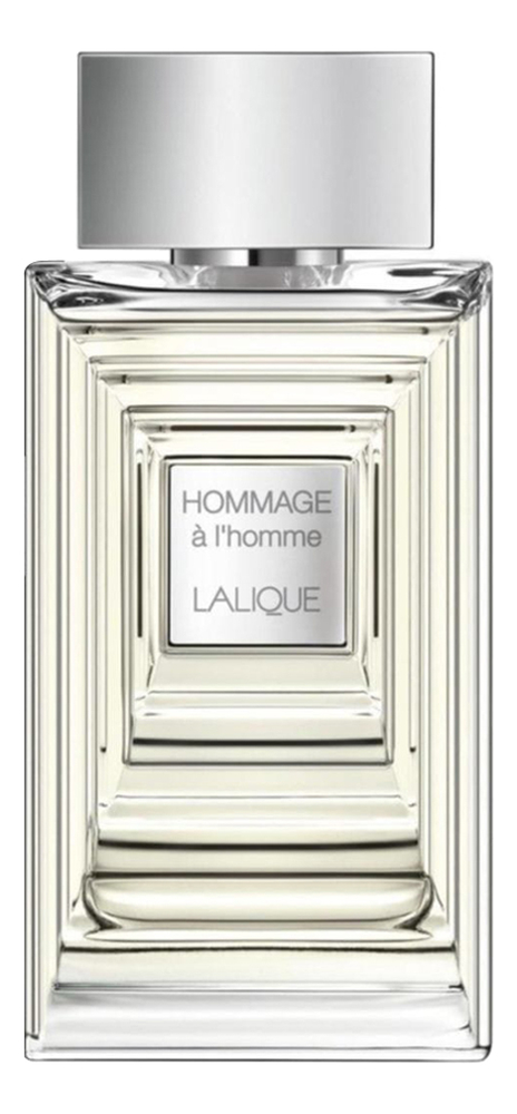 

Hommage a L'Homme: туалетная вода 100мл уценка, Hommage A L'Homme