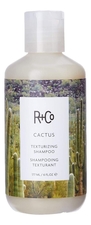 R+Co Текстурирующий шампунь для волос Cactus Texturizing Shampoo