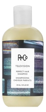 R+Co Шампунь для совершенства волос Television Perfect Hair Shampoo