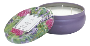 Ароматическая свеча Lavender & Bergamot