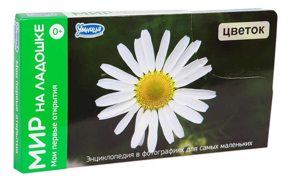 

Развивающая игра Мир на ладошке. Мои первые открытия