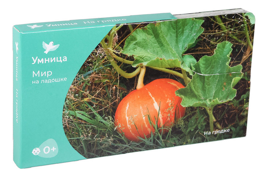 

Развивающая игра Мир на ладошке. На грядке