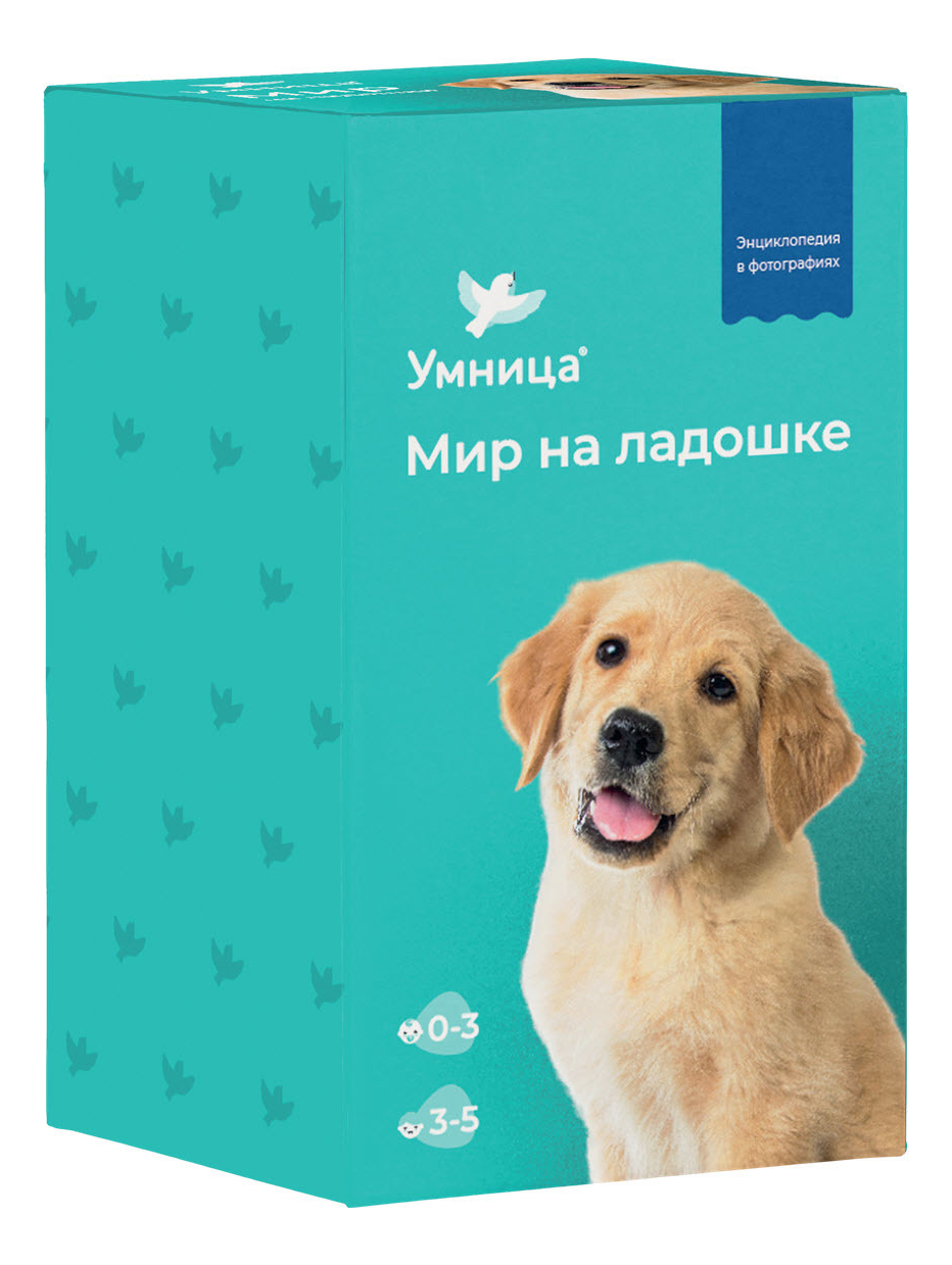 

Развивающая игра Мир на ладошке. Щенок