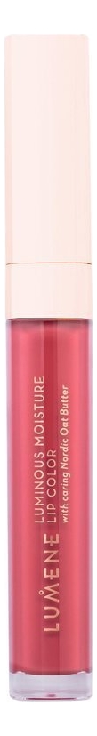 

Увлажняющая помада-крем придающая сияние Luminous Moisture Lip Color 5мл: No 107, Увлажняющая помада-крем придающая сияние Luminous Moisture Lip Color 5мл