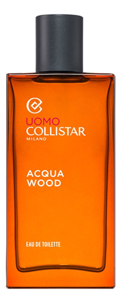 

Acqua Wood: туалетная вода 100мл уценка, Acqua Wood