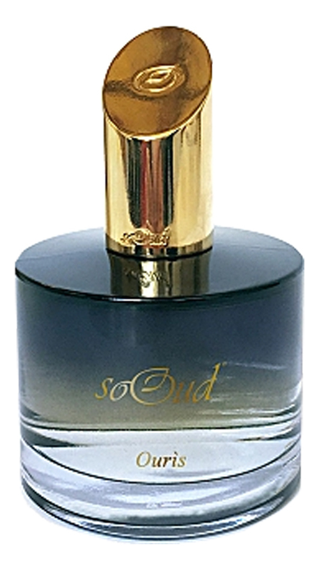 Ouris Parfum Eau Fine: парфюмерная вода 100мл уценка aabir eau fine парфюмерная вода 100мл