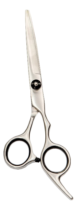 Ножницы для стрижки волос и бороды в чехле RR-HBSCISSORS от Randewoo