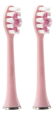 Dentalpik Сменные насадки для звуковой зубной щетки Pro 310 2шт