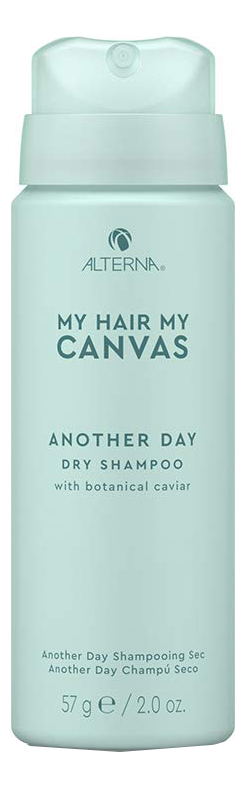 Сухой шампунь для волос My Hair My Canvas Another Day Vegan Dry Shampoo: Шампунь 57мл от Randewoo