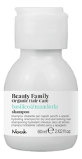 Nook Шампунь для сухих и тусклых волос Beauty Family Shampoo Basilico & Mandorla