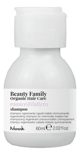 Nook Восстанавливающий шампунь для химически обработанных волос Beauty Family Shampoo Romice & Dattero