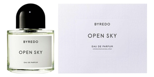 Open Sky
