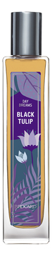 Day Dreams Black Tulip