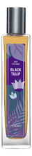 Brocard Day Dreams Black Tulip
